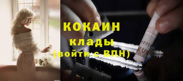 твердый Ростов