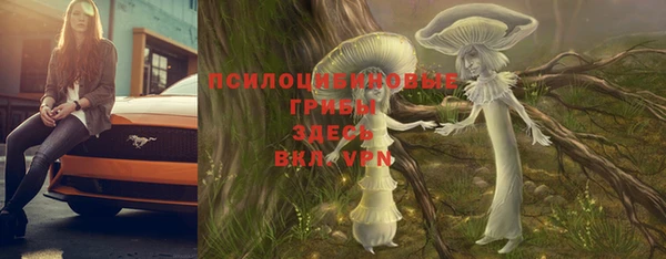 мяу мяу мука Россошь
